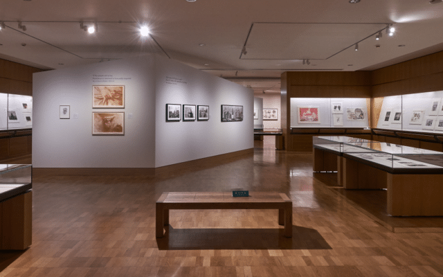 Exhibition space