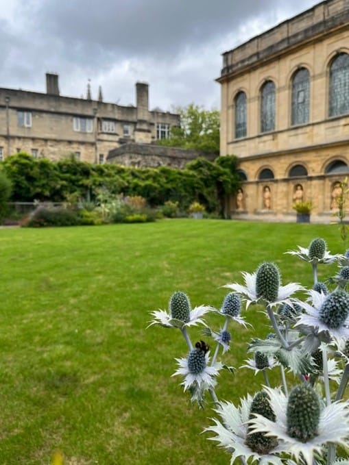 Photograph of a garden.